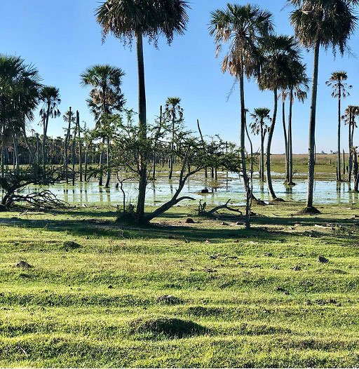 Impacto ambiental positivo